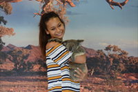 Kuranda Koala Gardens - QLD Tourism