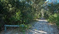 Lillypilly loop trail - Accommodation NT