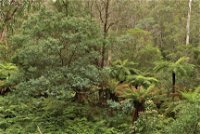 Lind National Park - Accommodation Cairns