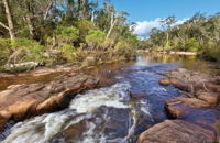 Little Dandahra Creek Walking Track - Accommodation Tasmania