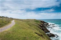 Look At Me Now Headland Walk - Mount Gambier Accommodation