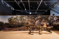 Megafauna Central - Accommodation Cairns