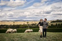 Merino and Co - QLD Tourism