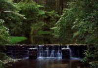 Millards Creek Walk and Cycleway - Accommodation Great Ocean Road