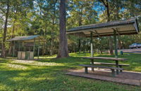 Minyon Grass Picnic Area - Accommodation Brisbane