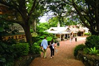 Montville - Accommodation Redcliffe