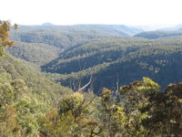 Nattai Gorge Lookout - Redcliffe Tourism