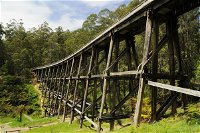 Noojee Trestle Bridge - Tourism Adelaide