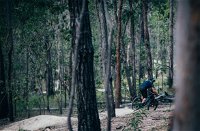 Old Tambo Downhill Mountain Bike Track - Attractions Brisbane
