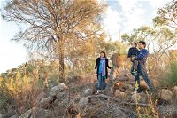 Para Wirra Conservation Park - Accommodation Search