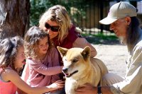 Potoroo Palace Native Animal Sanctuary - Accommodation in Bendigo