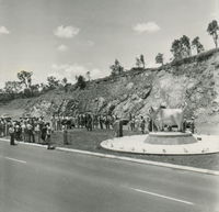 Rockhampton Bull Statues - Accommodation Ballina