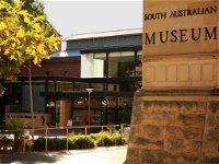 South Australian Museum - Accommodation Search