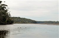 Tabourie Lake - Gold Coast Attractions