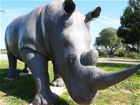 Tailem Bend Rhino Park and Dickson Reserve - Accommodation Resorts