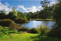 Tasmanian Arboretum Inc. - The - Accommodation BNB