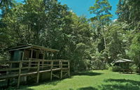Terania Creek Picnic Area - Accommodation Sunshine Coast