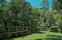 Terania Creek Picnic Area - Accommodation Redcliffe