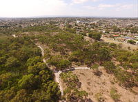 The Pines Flora and Fauna Reserve - Maitland Accommodation