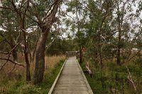 The Briars Park Walking Trails - Accommodation Newcastle