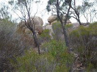 Tolmer Rocks - Mount Boothby Conservation Park - Accommodation Broken Hill