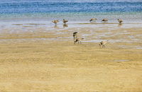 Towra Beach - Accommodation Daintree