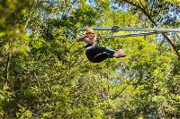 TreeTop Crazy Rider - Find Attractions