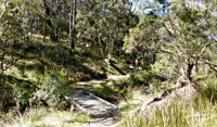 Wollomombi Walking Track - Accommodation Tasmania