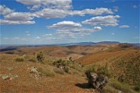 Arden Hills 4WD Track. - Accommodation Newcastle
