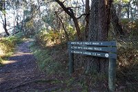 Arthurs Seat to Kings Falls Walk - Accommodation Cooktown