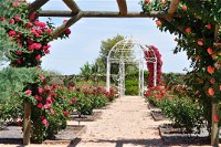 Australian Inland Botanic Gardens - Accommodation Resorts
