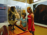 Australian Museum Diprotodon Exhibition Closed for Building Repair July August - WA Accommodation