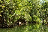 Berry Springs Nature Park - Yamba Accommodation