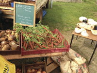 Burnie Farmers Market - Attractions
