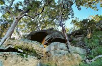 Burrawang Reach Picnic Area - Accommodation Tasmania
