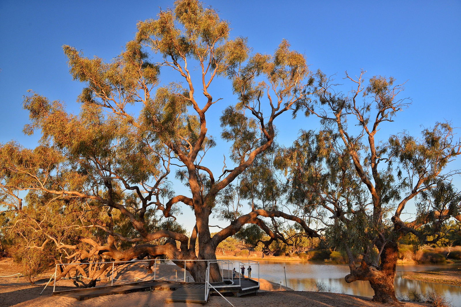 Durham Downs QLD QLD Tourism