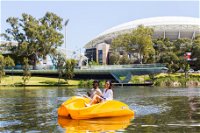 Captain Jolley's Paddle Boats - Accommodation Search