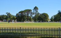 Cootamundra Cricketing Exploration - QLD Tourism