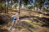 Cycle Mogo State Forest - Accommodation Airlie Beach