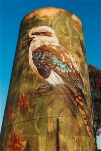 Deniliquin Water Tower Mural - Accommodation NT