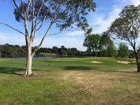 Devilbend Golf Club - Accommodation Port Macquarie