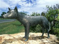 Dingo Statue - Accommodation Tasmania