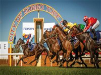 Dubbo Turf Club - Open with Races But No Spectators - Australia Accommodation