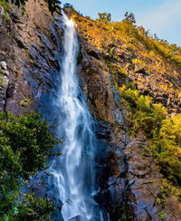 Ellenborough Falls - Tourism TAS