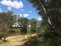 Farleigh 'Beach' Reserve - Surfers Gold Coast