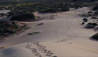 Foreshore Walk Mungo National Park - Accommodation Australia