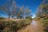 Freshwater Creek Track Byfield National Park - Carnarvon Accommodation