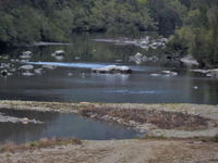 Georges Creek - Surfers Gold Coast