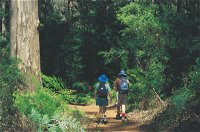Gloucester National Park - Find Attractions