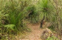 Grass Tree Circuit - Accommodation Redcliffe